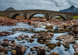 阳光透过树叶的缝隙，洒下斑驳的光影